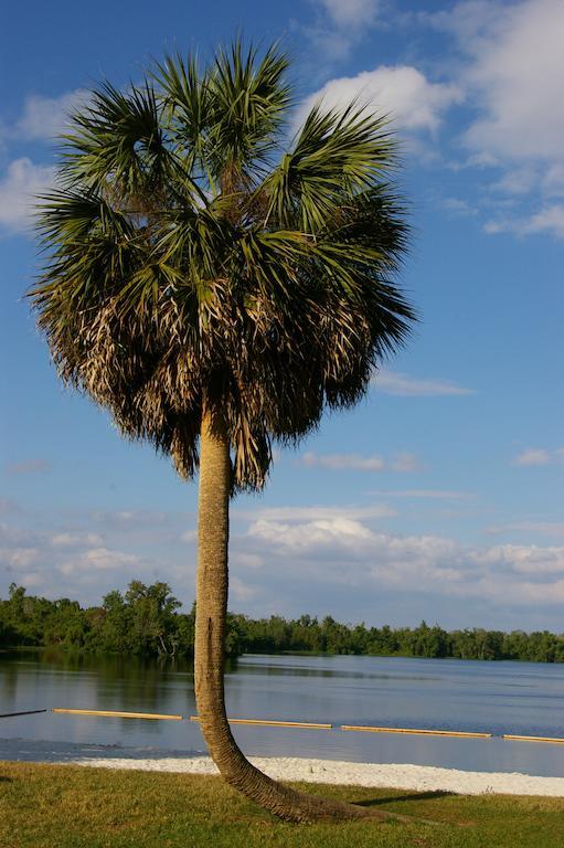 Cypress Cove Nudist Resort Poinciana Luaran gambar